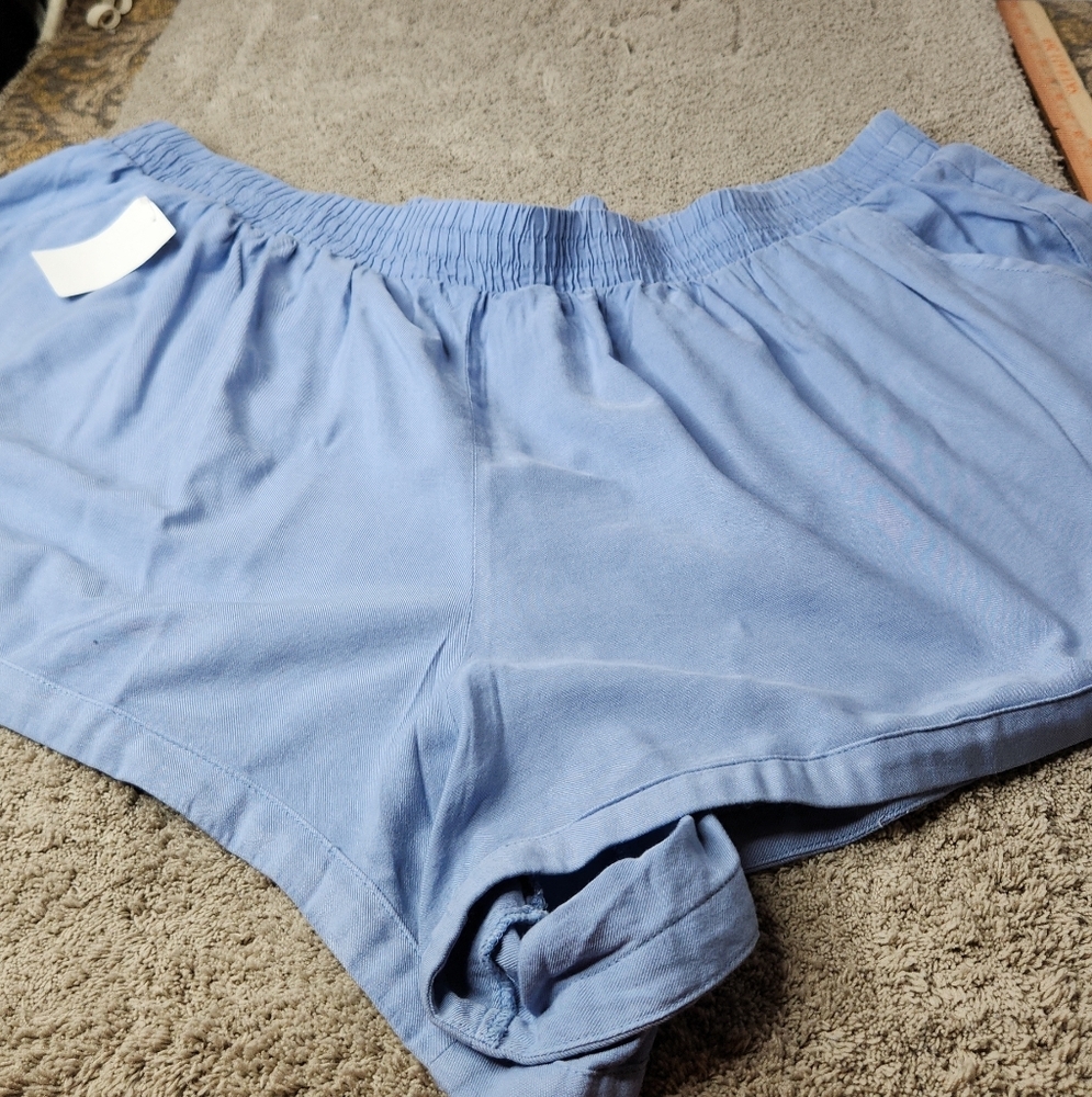 Women's Knit Blue Shorts - Wild Fable - 3X